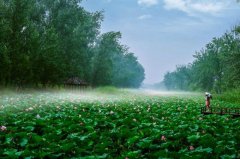 级汗青文假名镇3处